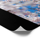 Kirschblüten in Japan Poster (Ecke)