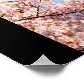 Kirschblüten in Japan Poster (Ecke)
