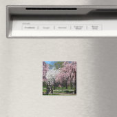 Kirschblüten in Philadelphia Magnet (In Situ (Geschirrspüler))