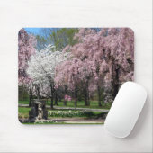 Kirschblüten in Philadelphia Mousepad (Mit Mouse)