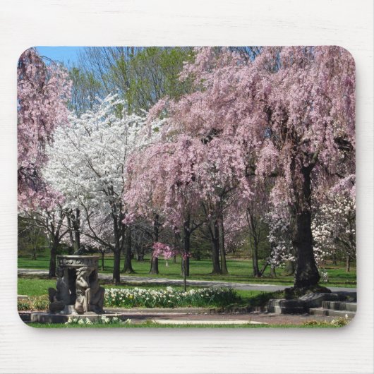 Kirschblüten in Philadelphia Mousepad (Vorne)