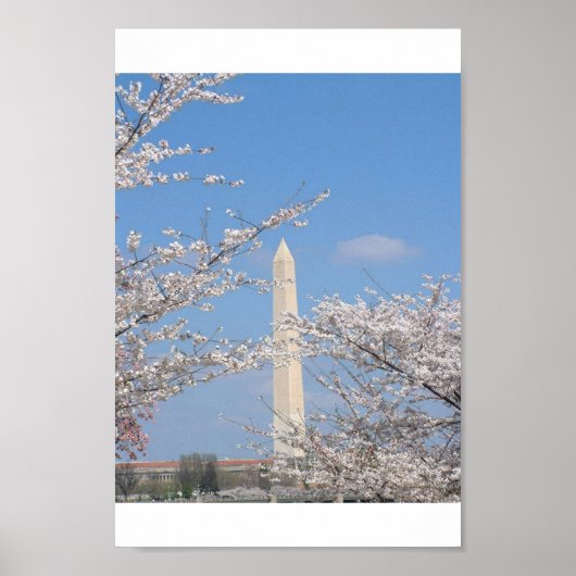 Kirschblüten in Washington D.C. Poster (Vorne)