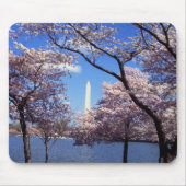 Kirschblüten in Washington DC mousepad (Vorne)