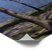 Kirschblüten in Washington DC-Plakatdruck Poster (Ecke)