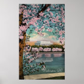 Kirschblüten in Washington DC Poster (Vorne)