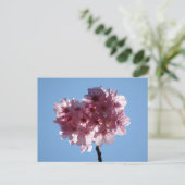 Kirschblüten: Japan Postkarte (Stehend Vorderseite)