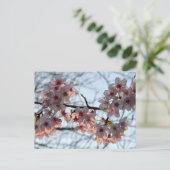Kirschblüten: Japan Postkarte (Stehend Vorderseite)