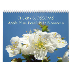 KIRSCHblüten Kalender Apple blühen Birnen-Pfirsich
