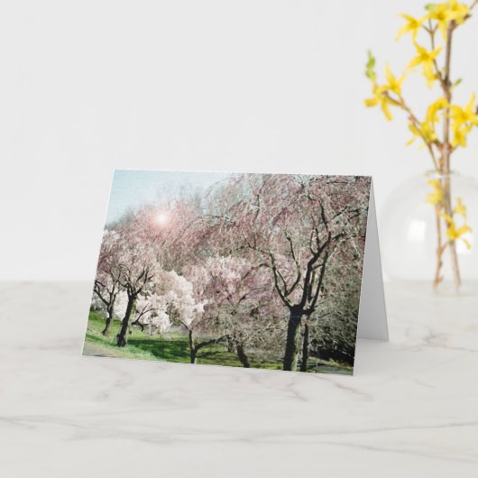 Kirschblüten Karte (Gelbe Blume)