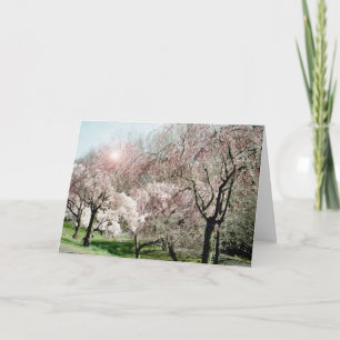 Kirschblüten Karte