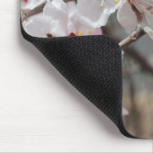 Kirschblüten, Kirschblüten, Frühling Mousepad (Ecke)