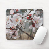 Kirschblüten, Kirschblüten, Frühling Mousepad (Mit Mouse)
