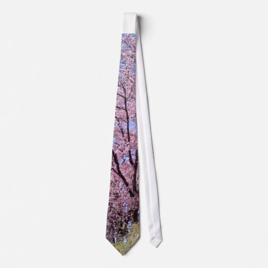Kirschblüten Krawatte (Vorderseite)