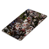 Kirschblüten Magnet (Linke Seite)