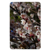 Kirschblüten Magnet (Vertikal)