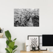 Kirschblüten: Meguro-Fluss, Tokio (schwarz/weiß) Poster (Heimbüro)