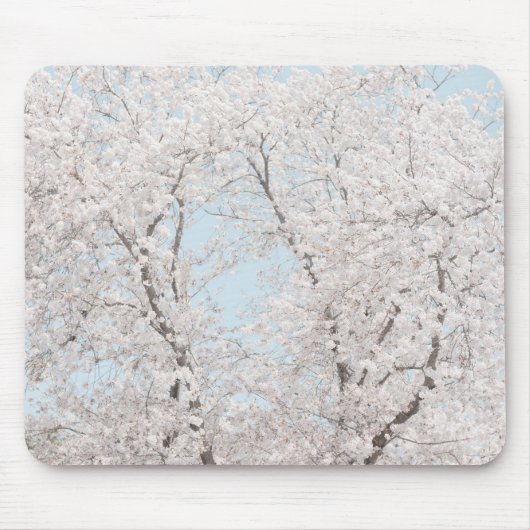 Kirschblüten Mousepad (Vorne)