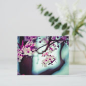 Kirschblüten-Niederlassung Postkarte (Stehend Vorderseite)