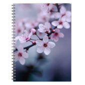 Kirschblüten Notizblock (Vorderseite)