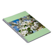 Kirschblüten. Notizblock (Rechte Seite)