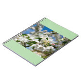 Kirschblüten. Notizblock (Linke Seite)
