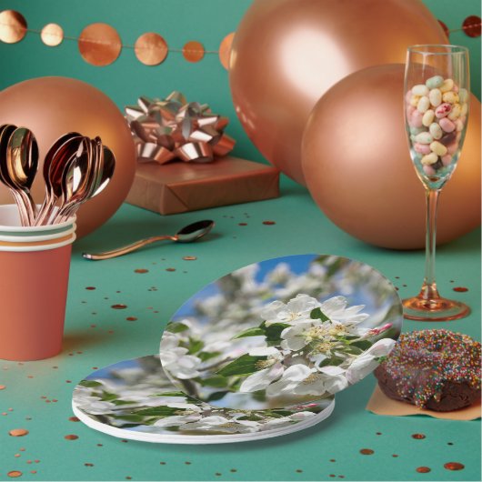 Kirschblüten. Pappteller (Multi)