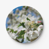 Kirschblüten. Pappteller (Vorderseite)