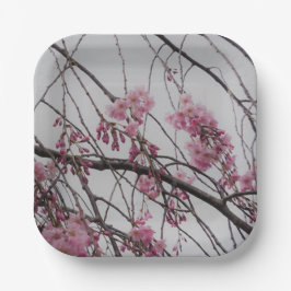 Kirschblüten Pappteller