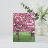 Kirschblüten Postkarte (Stehend Vorderseite)