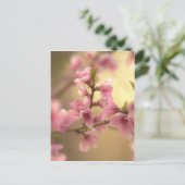 Kirschblüten Postkarte (Stehend Vorderseite)