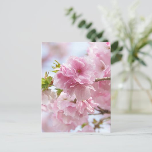 Kirschblüten Postkarte (Stehend Vorderseite)