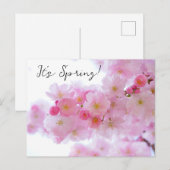 Kirschblüten-Postkarte Postkarte (Vorne/Hinten)