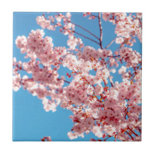 Kirschblüten-Sakura-Blumenbaum Fliese
