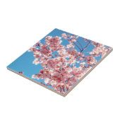 Kirschblüten-Sakura-Blumenbaum Fliese (Seite)