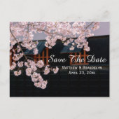 Kirschblüten Save the Date Hochzeitskarte Ankündigungspostkarte (Vorderseite)