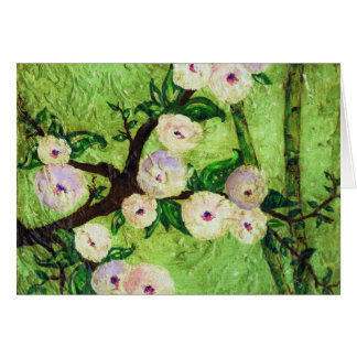 KIRSCHblüten-TRAUM