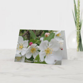 Kirschblüten-Überraschungs-Faltkarte zum Dankeschö Dankeskarte