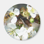 Kirschblüten und Bienen Magnet (Vorne)