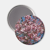 Kirschblüten und Blauer Himmelsblüte Magnet (Vorderseite/Rückseite)