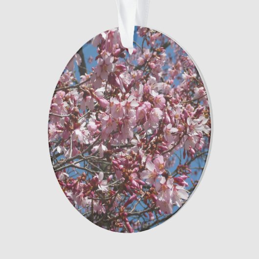 Kirschblüten und Blauer Himmelsblüte Ornament (Vorderseite)