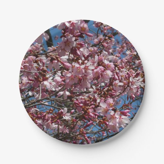 Kirschblüten und Blauer Himmelsblüte Pappteller (Vorderseite)