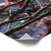 Kirschblüten und Blauer Himmelsblüte Poster (Ecke)