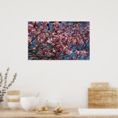 Kirschblüten und Blauer Himmelsblüte Poster (Küche)