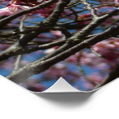 Kirschblüten und Blauer Himmelsblüte Poster (Ecke)