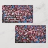 Kirschblüten und Blauer Himmelsblüte Visitenkarte (Vorne/Hinten)