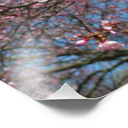 Kirschblüten und Blüten aus Bienenrosa Fotodruck (Ecke)