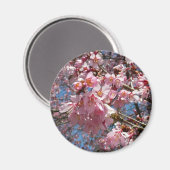 Kirschblüten und Blüten aus Bienenrosa Magnet (Vorderseite/Rückseite)