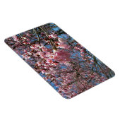 Kirschblüten und Blüten aus Bienenrosa Magnet (Rechte Seite)