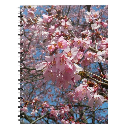 Kirschblüten und Blüten aus Bienenrosa Notizblock (Vorderseite)