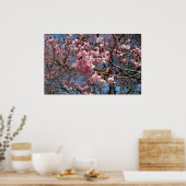 Kirschblüten und Blüten aus Bienenrosa Poster (Küche)